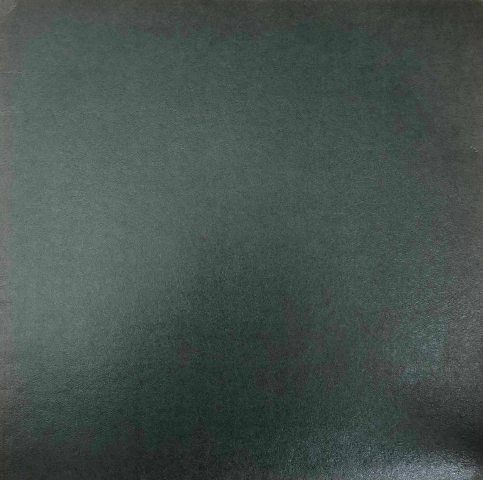 detroit (12inch)
