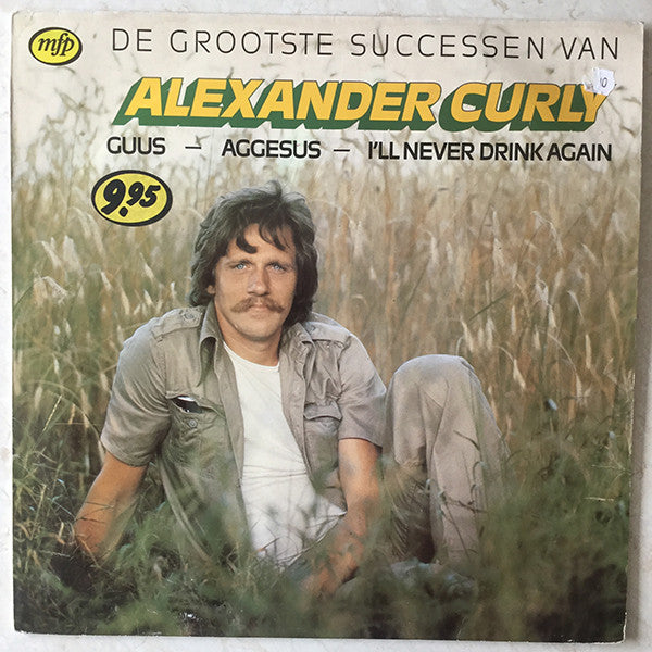 de grootste successen van (lp)