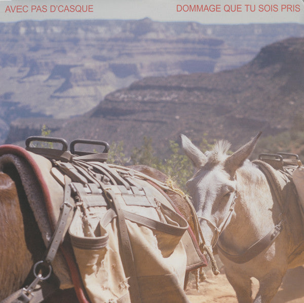 dommage que tu sois pris (lp)