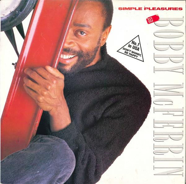 simple pleasures (lp)
