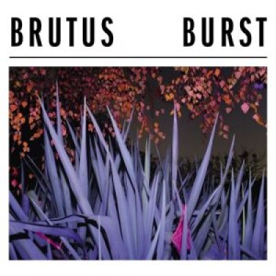 burst