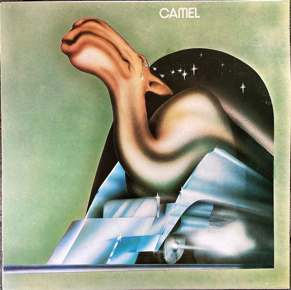 camel