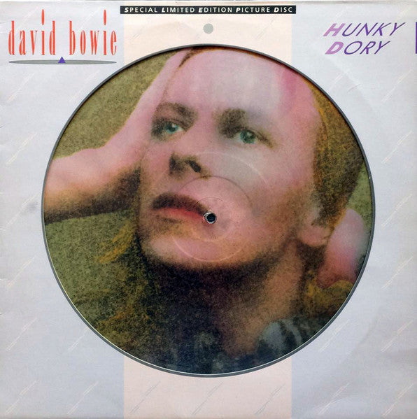 hunky dory (picture disc)