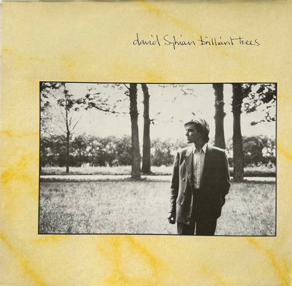 brilliant trees (lp)