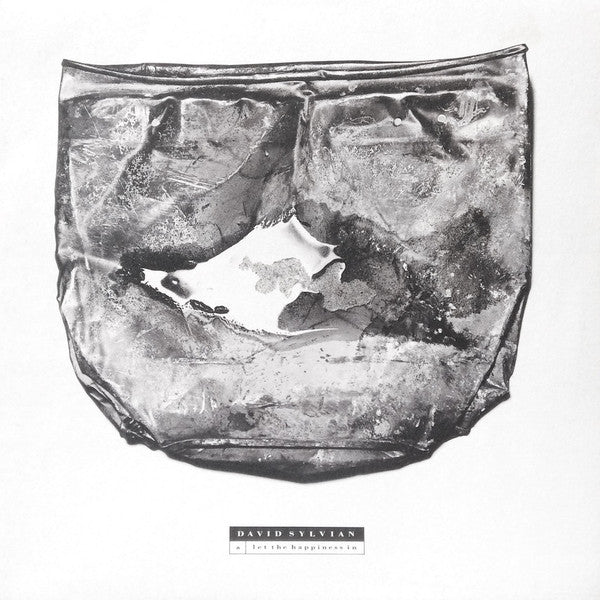 let the happiness in (12inch maxi-near mint)