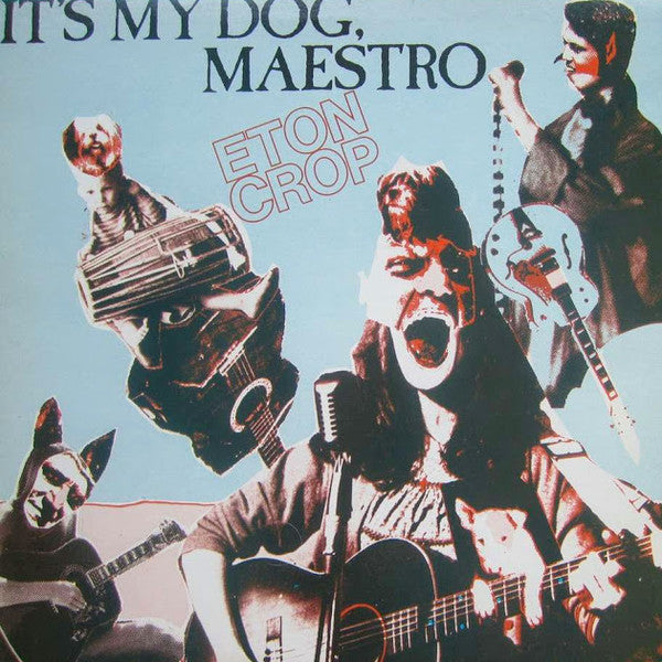 it's my dog, maestro (near mint)