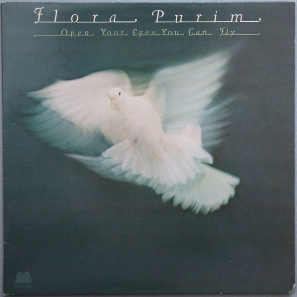 open your eyes you can fly(lp)