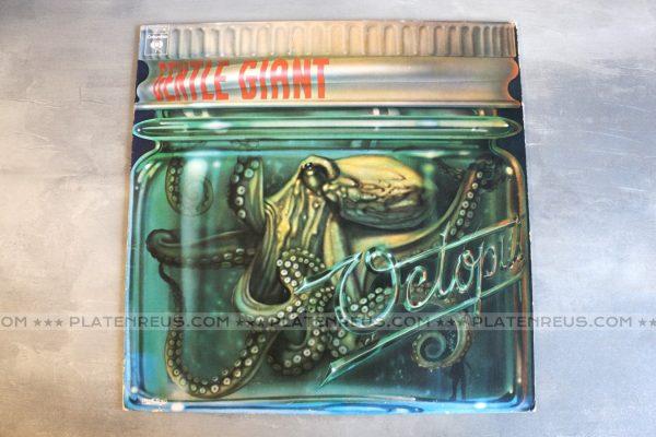 octopus