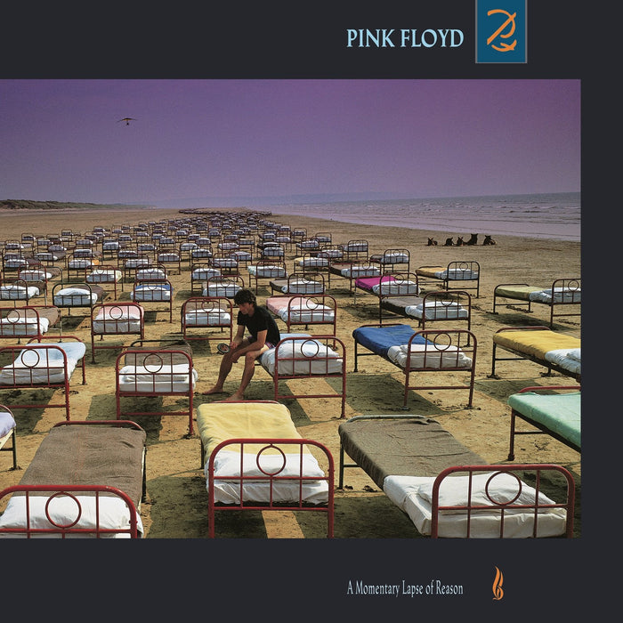 a momentary lapse of reason