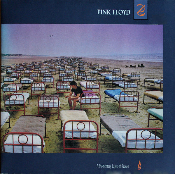 a momentary lapse of reason (lp)