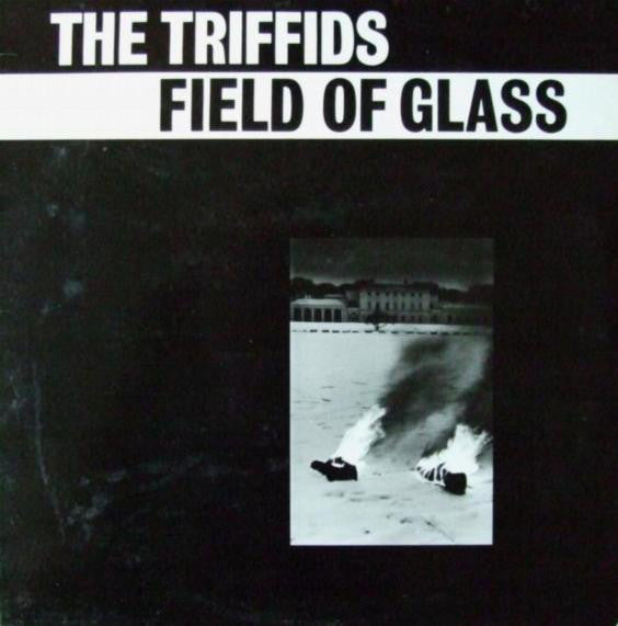 field of glass (12inch-near mint)