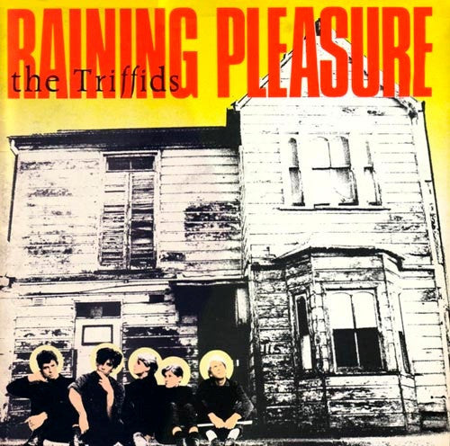 raining pleasure (near mint)